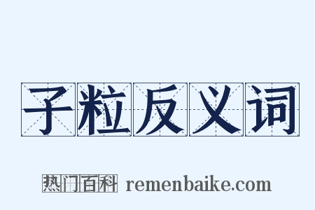 子粒反义词是什么意思的图片